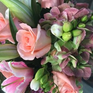 Meet your Posher, Zina